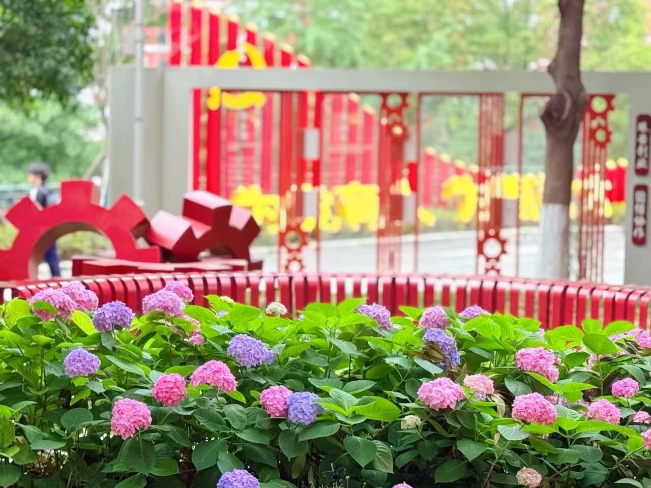 微信图片_20260515095404_1_334.jpg