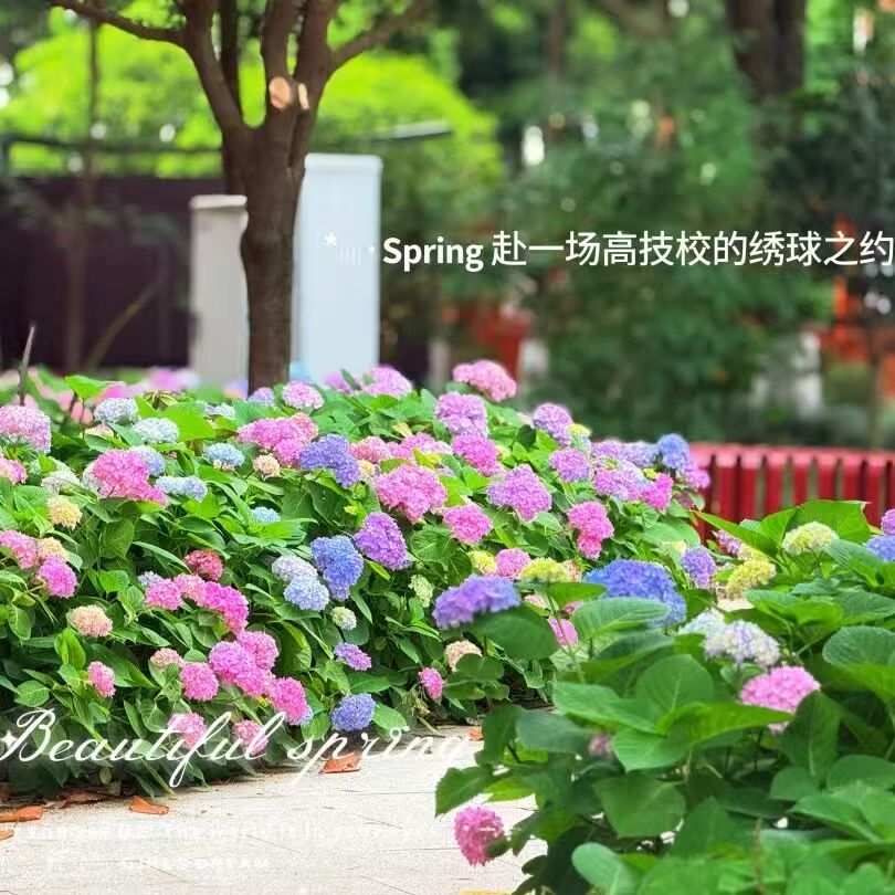 微信图片_20260515095530_7_334.jpg